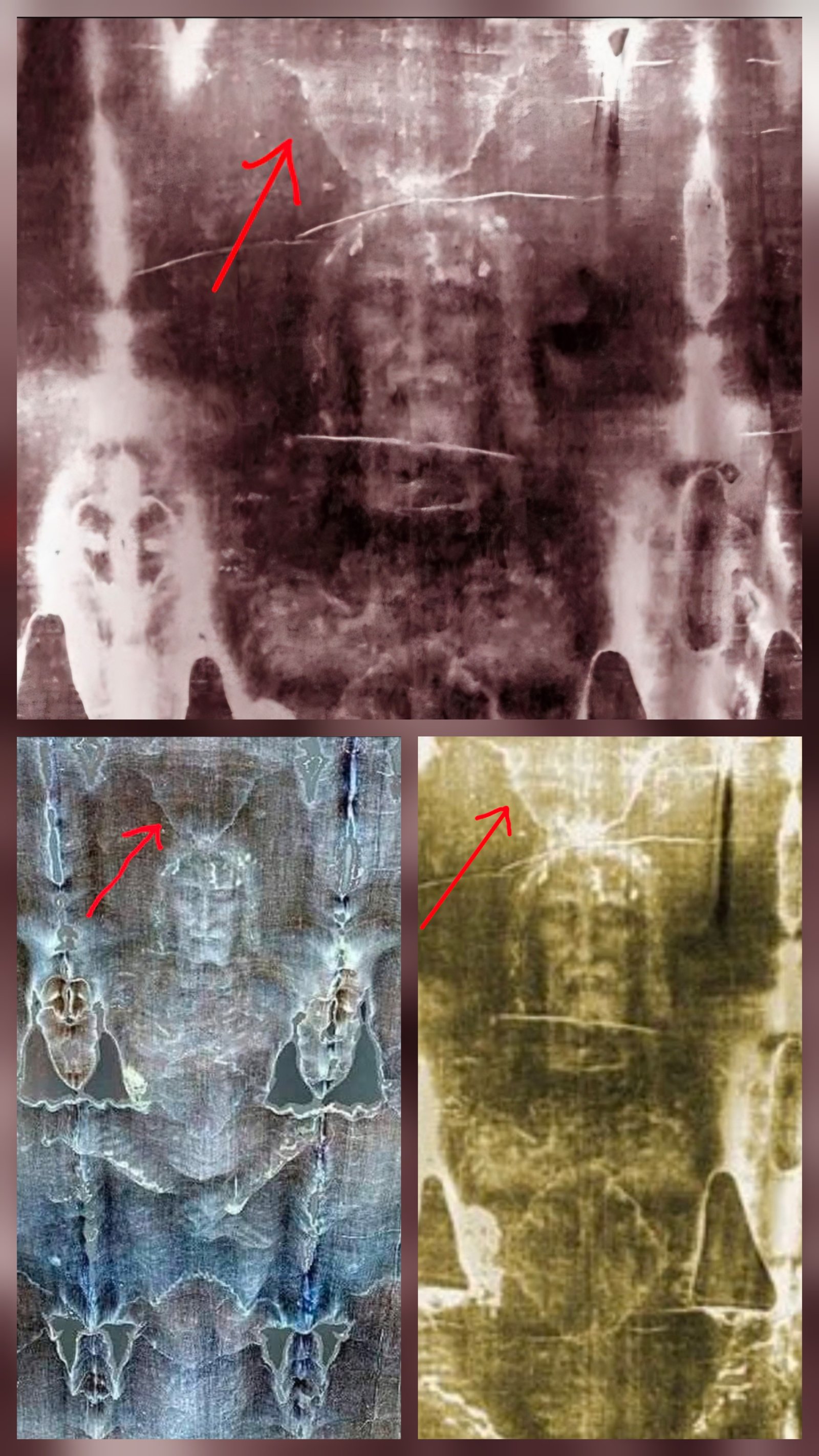 Three color-enhanced renderings of the Shroud of Turin face — negative, blue, and gold — each with an arrow pointing to the structured region directly above the crown of the head